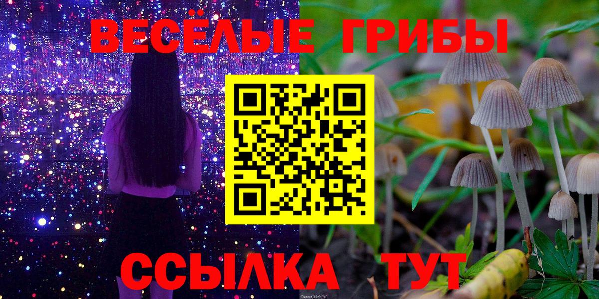 Ипатово  Псилоцибиновые грибы ЛСД  где купить наркоту  Вход с VPN 