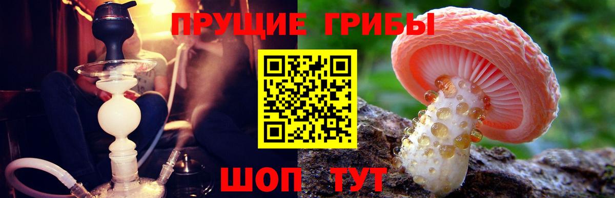 Псилоцибиновые грибы мухоморы Ипатово